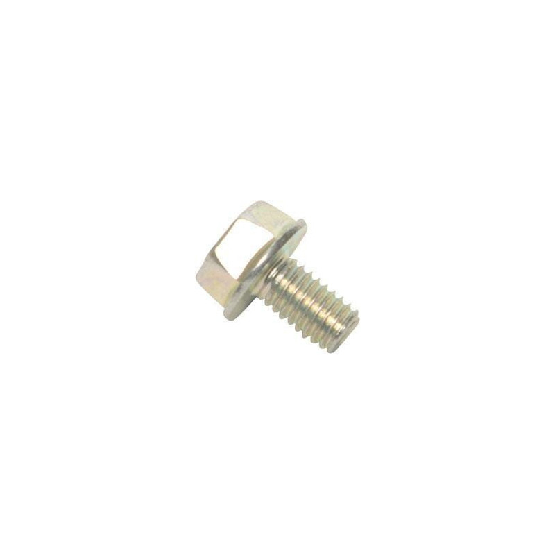 Tornillo Briggs y Stratton - 841233