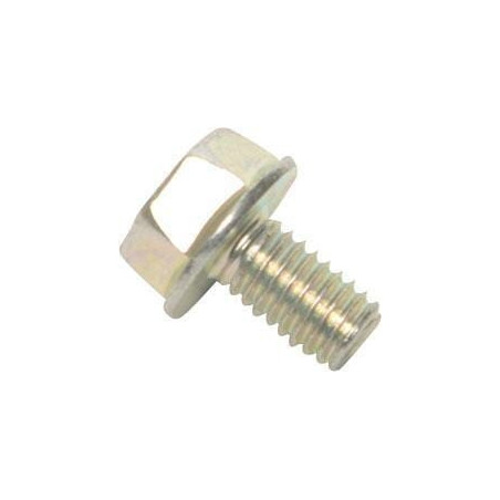 Briggs and Stratton screw - 841233