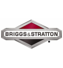 Briggs and Stratton screw - 820948