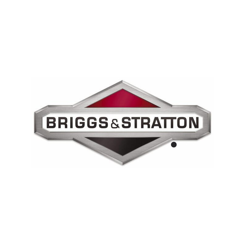 Vis Briggs et Stratton - 820948