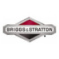 Briggs and Stratton Screw - 820948