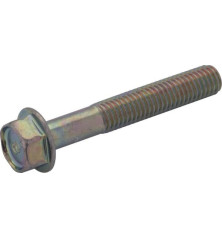 Briggs and Stratton screw - 807362