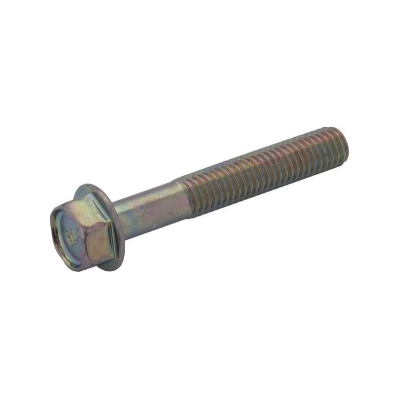 Briggs and Stratton Screw - 807362