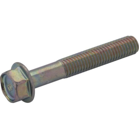 Briggs and Stratton screw - 807362