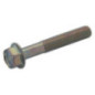 Briggs and Stratton Screw - 807362