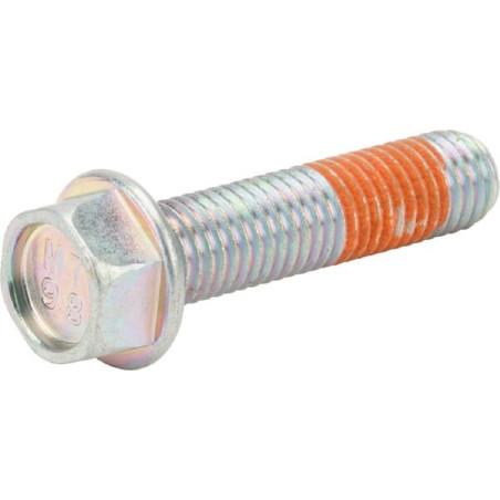 Briggs and Stratton screw - 799318