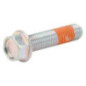 Briggs and Stratton screw - 799318