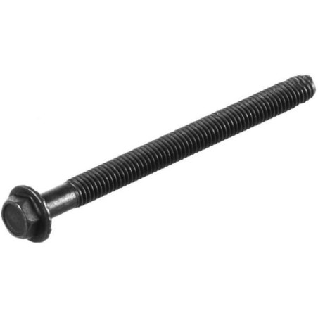 Briggs and Stratton screw - 799014
