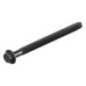 Briggs and Stratton screw - 799014