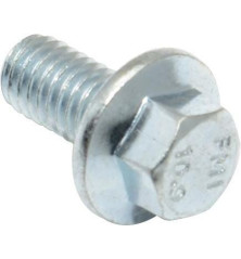 Briggs and Stratton screw - 798618