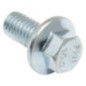 Briggs and Stratton screw - 798618