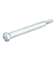 Briggs and Stratton screw - 796496