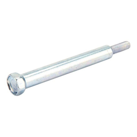 Briggs and Stratton screw - 796496