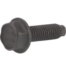 Briggs and Stratton screw - 794451