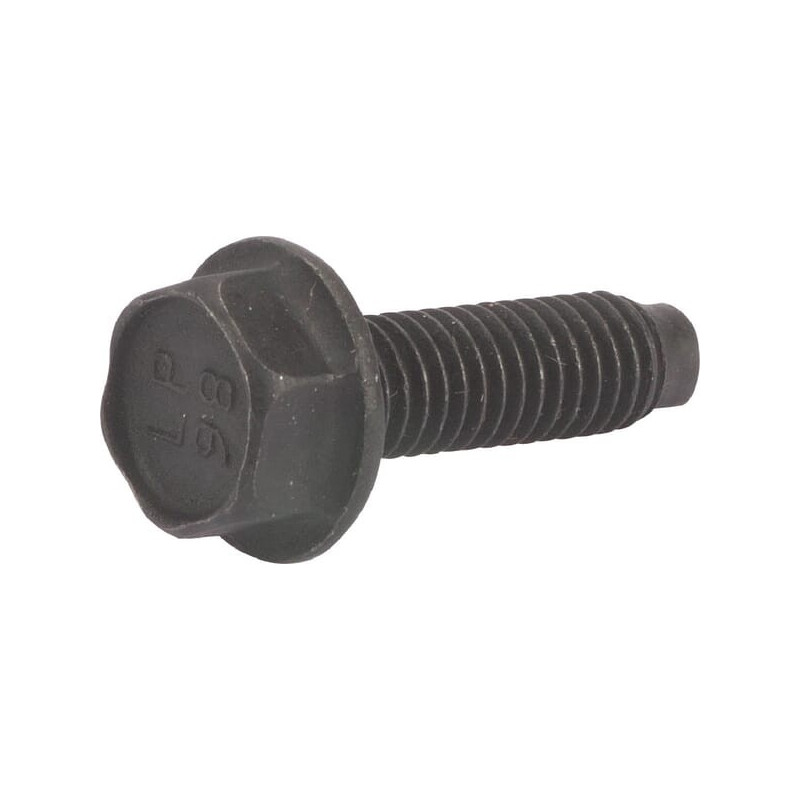 Briggs and Stratton screw - 794451