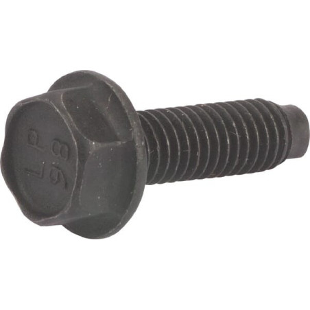 Briggs and Stratton screw - 794451