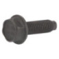 Briggs and Stratton screw - 794451