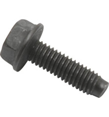 Briggs and Stratton screw - 794451 2