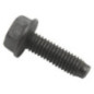 Briggs and Stratton screw - 794451