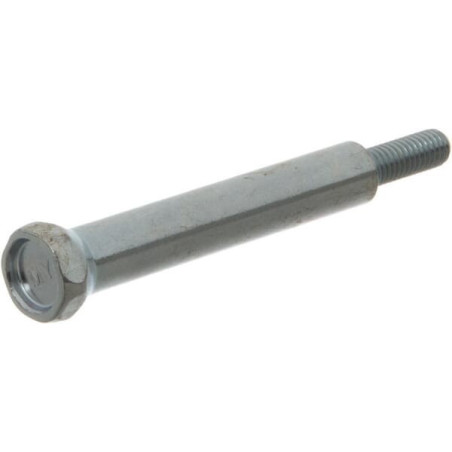Briggs and Stratton screw - 793680