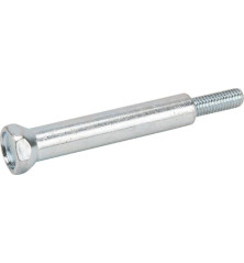 Briggs and Stratton screw - 793495