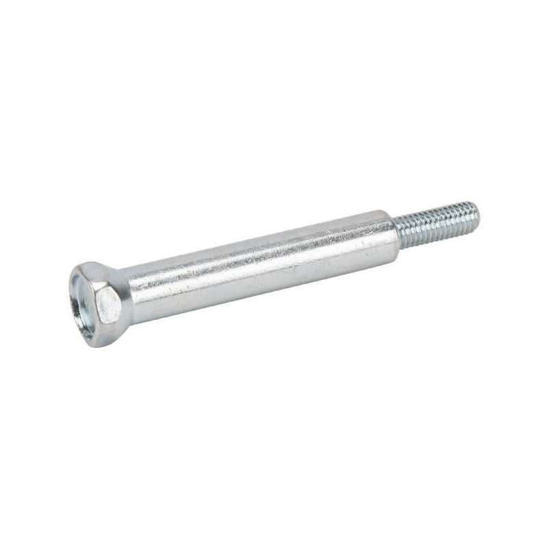 Briggs and Stratton screw - 793495