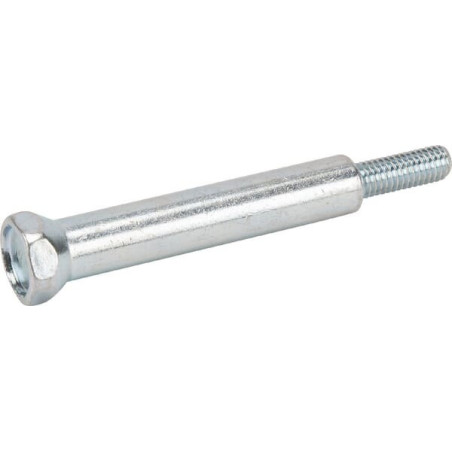Briggs and Stratton screw - 793495