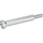 Briggs and Stratton screw - 793495