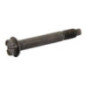 Briggs and Stratton screw - 793460