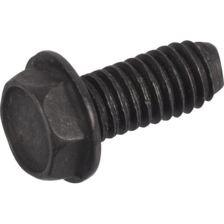 Briggs and Stratton screw - 793453