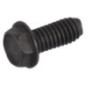 Briggs en Stratton Schroef - 793453