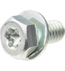 Briggs and Stratton screw - 791680