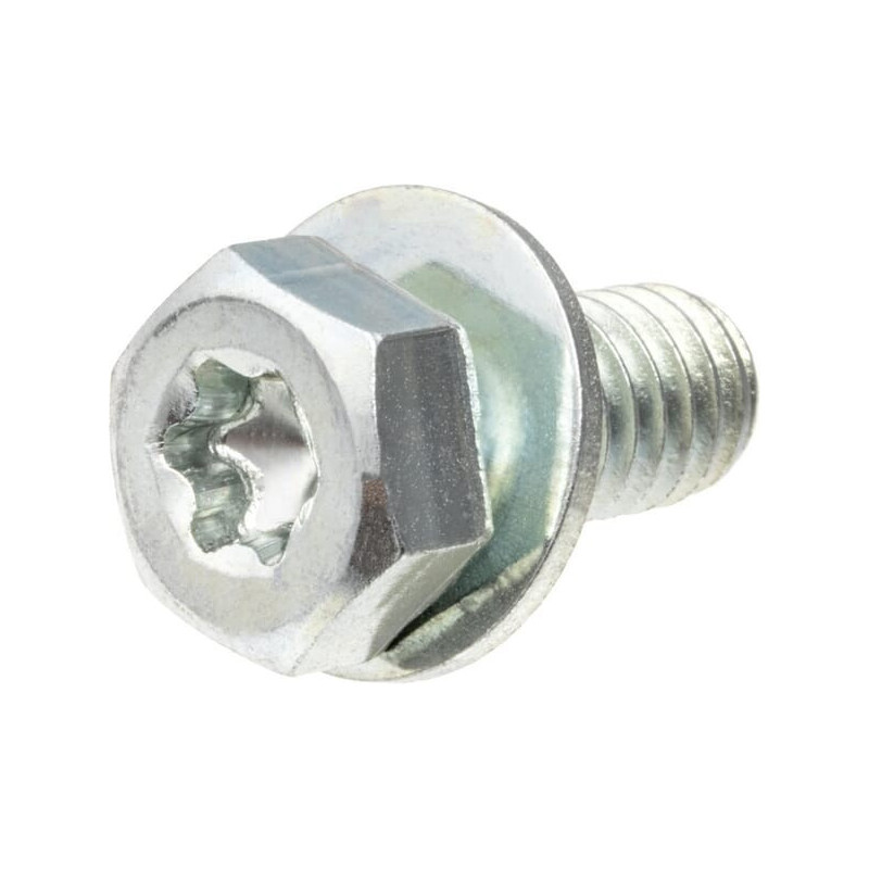 Briggs and Stratton screw - 791680