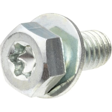 Parafuso Briggs e Stratton - 791680