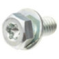 Briggs and Stratton screw - 791680