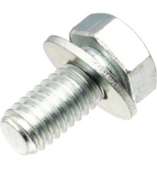 Briggs and Stratton screw - 791680 2