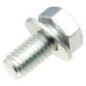 Briggs and Stratton screw - 791680