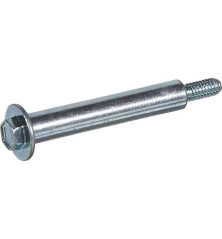 Briggs and Stratton screw - 790850