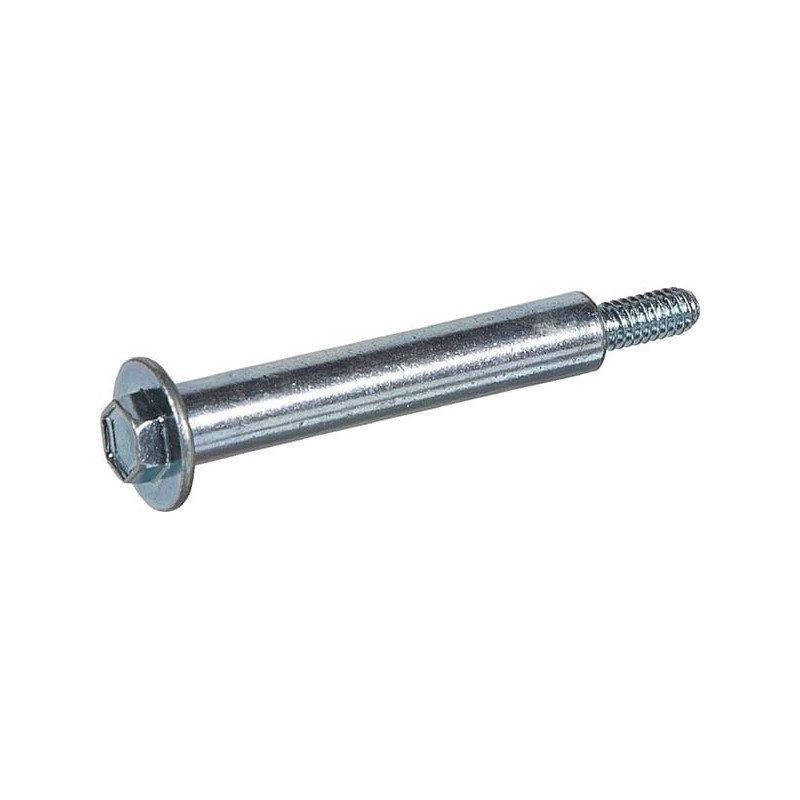 Briggs and Stratton screw - 790850