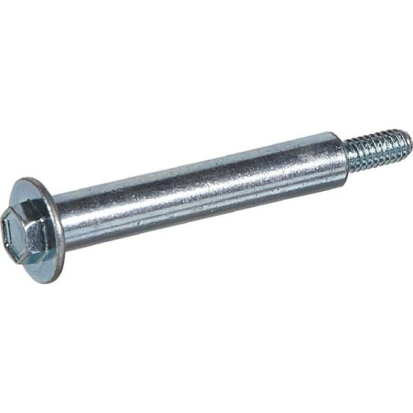 Briggs and Stratton screw - 790850