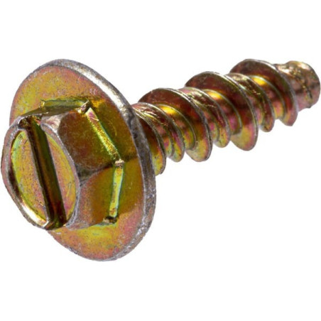 Briggs and Stratton screw - 790690