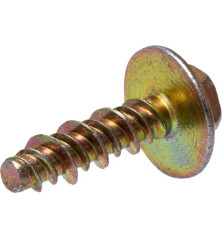 Briggs and Stratton screw - 790690 2