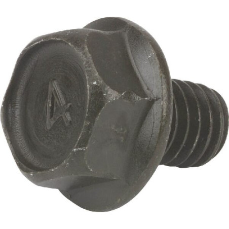 Briggs and Stratton screw - 710074
