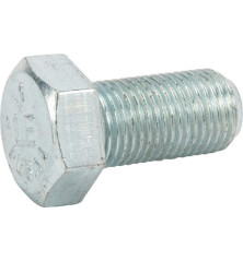 Briggs and Stratton screw - 703880