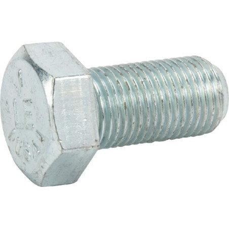 Briggs and Stratton screw - 703880