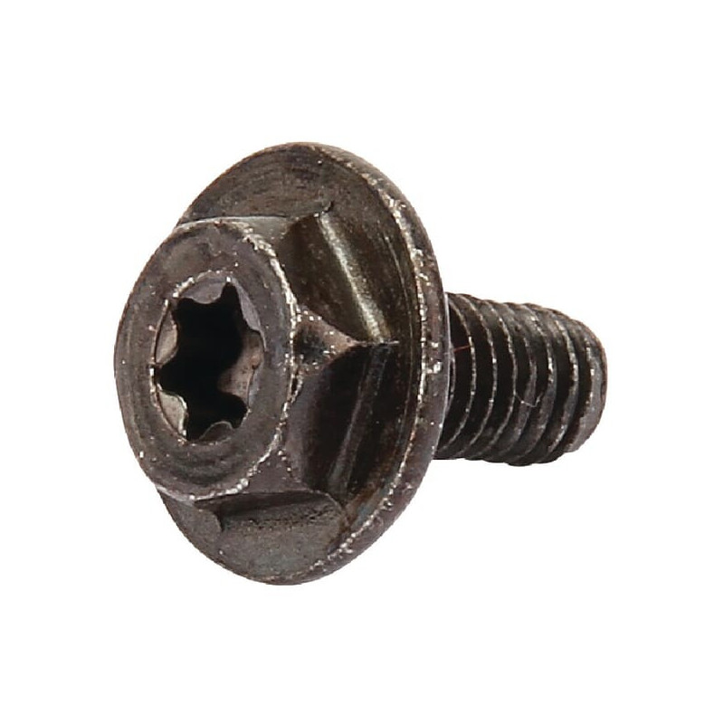 Schroef Briggs et Stratton - 699854