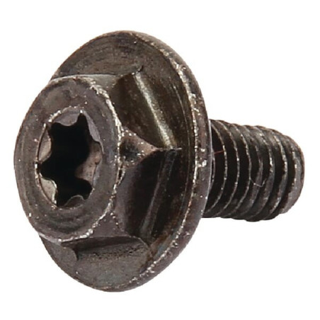 Briggs and Stratton screw - 699854