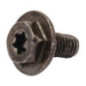 Schroef Briggs et Stratton - 699854
