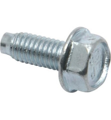 Briggs and Stratton screw - 699481