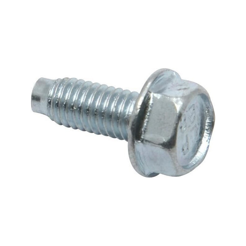 Briggs and Stratton screw - 699481